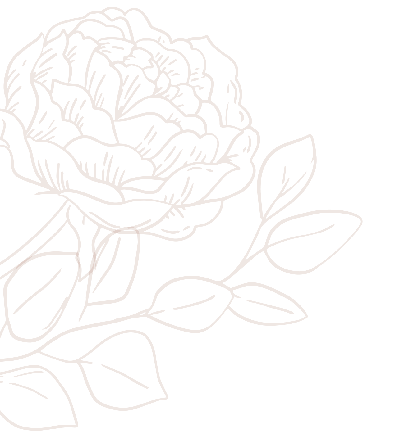backround image rose